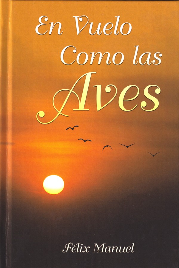 Portada de la novela En Vuelo Como las Aves de Félix Manuel